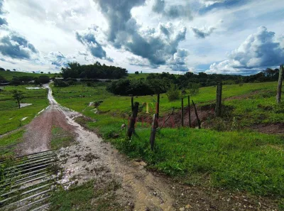 Fazenda/Sítio com 1 Quarto à venda, 238000m² no Nossa Senhora Aparecida I, Saltinho