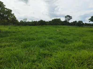 Fazenda/Sítio à venda, 242000m² no , São Miguel do Passa Quatro