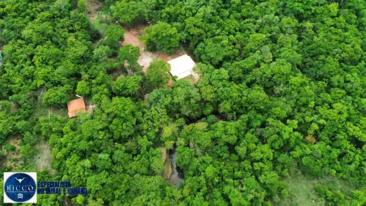Fazenda/Sítio com 5 Quartos à venda, 490m² no Vila Grimpas, Hidrolândia