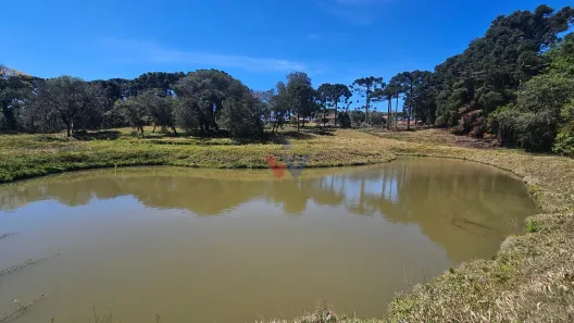 Fazenda/Sítio com 6 Quartos à venda, 254100m² no Área Rural de Araucária, Araucária
