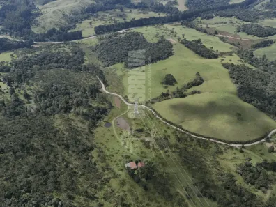 Fazenda/Sítio com 3 Quartos à venda, 210000m² no SÃO MIGUEL, Campo Alegre