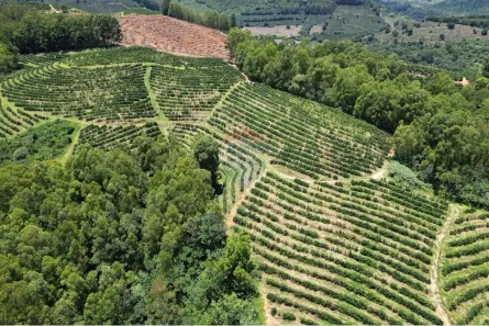 Fazenda/Sítio com 1 Quarto à venda, 420000m² no Centro, São Sebastião da Grama