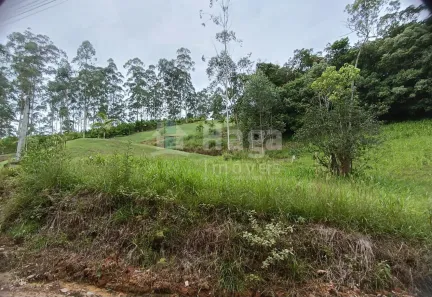 Lote/Terreno à venda, 12500m² no Guabiruba Sul, Guabiruba