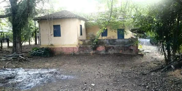 Fazenda/Sítio à venda, 15039m² no Área Rural de Ponte Nova, Ponte Nova