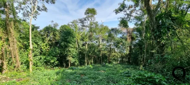 Lote/Terreno à venda, 1472m² no Perequê, Ilhabela