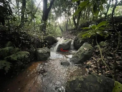 Fazenda/Sítio com 2 Quartos à venda, 363000m² no Jardim dos Eucaliptos, Itirapina