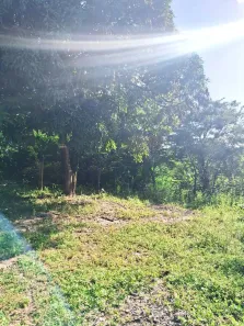 Lote/Terreno à venda, 300m² no , Ilha de Itamaracá