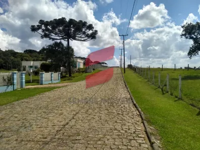 Fazenda/Sítio à venda, 2800m² no Planta Laranjeiras, Piraquara