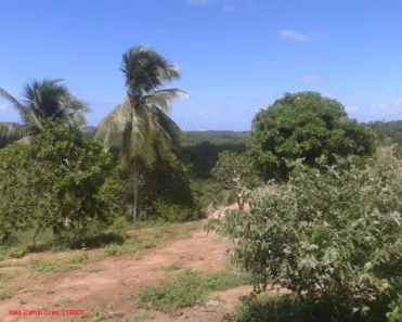 Lote/Terreno à venda, 101000m² no Abrantes, Camaçari