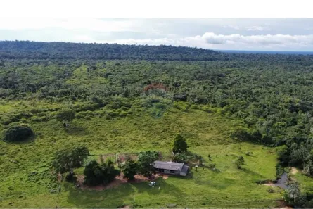 à venda, 50000m² no , Paranaíta