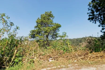 Lote/Terreno à venda, 2700m² no , Campos do Jordão