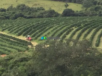 Fazenda/Sítio com 1 Quarto à venda, 56m² no , Piumhi