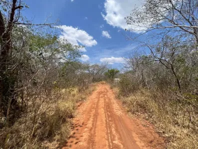 Fazenda/Sítio à venda, 21790000m² no Centro, Redenção do Gurguéia