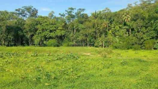 Lote/Terreno à venda, 2448m² no Itoupavazinha, Blumenau