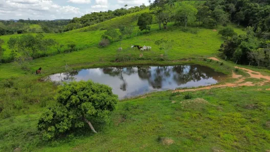 Fazenda/Sítio com 3 Quartos à venda, 241000000m² no Centro, Formiga