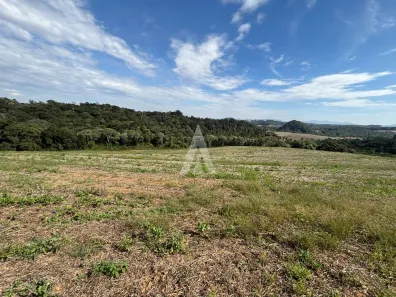 Lote/Terreno à venda, 170061m² no Bateias de Baixo, Campo Alegre