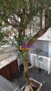 Ponto Comercial com 6 Quartos à venda, 300m² no Indianópolis, São Paulo