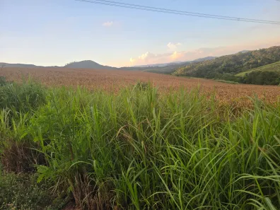 Lote/Terreno à venda, 800000m² no Condomínio Voturuna, Santana de Parnaíba