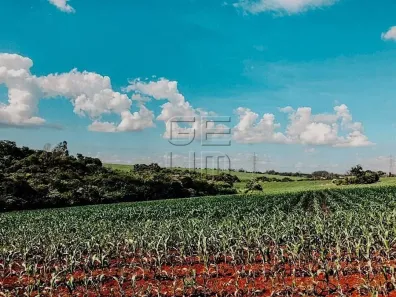 Lote/Terreno à venda, 30000m² no Indústrias Leves, Londrina