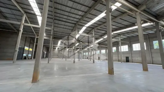 Galpão/Depósito/Armazém para alugar, 1295m² no Área Rural de Farroupilha, Farroupilha
