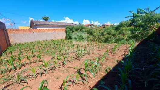 Lote/Terreno com 1 Quarto à venda, 375m² no Marta Helena, Uberlândia