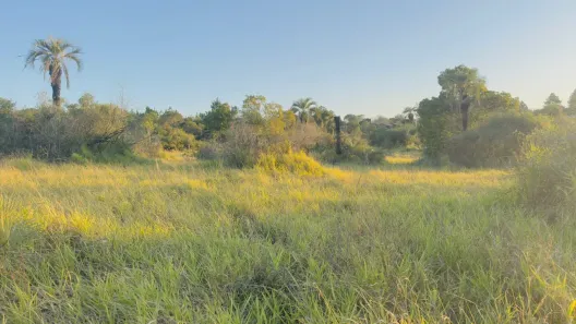 Lote/Terreno à venda, 1000m² no Águas Claras, Viamão