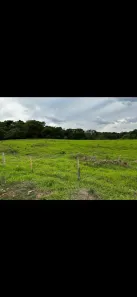 Casa com 4 Quartos à venda, 18m² no , Goianápolis