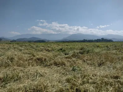 Fazenda/Sítio à venda, 20000m² no Bom Sucesso, Pindamonhangaba