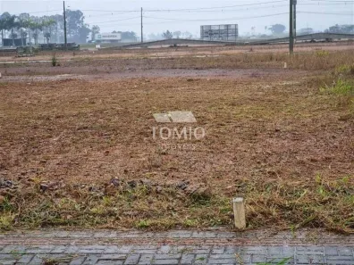 Lote/Terreno à venda, 300m² no , Ilhota