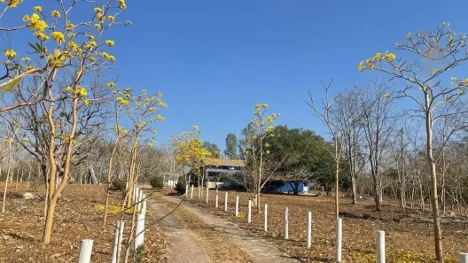 Fazenda/Sítio com 3 Quartos à venda, 300m² no Jardim Vitória, Cuiabá