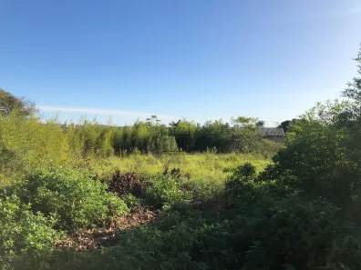 Lote/Terreno à venda, 798m² no Santo André, São Leopoldo