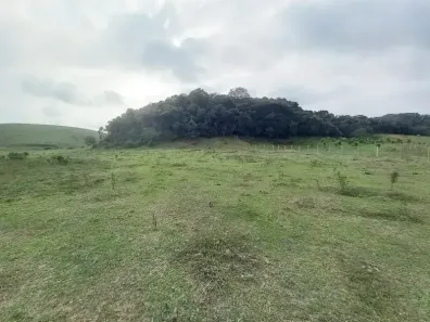 Fazenda/Sítio à venda, 5000m² no Papucaia, Cachoeiras de Macacu