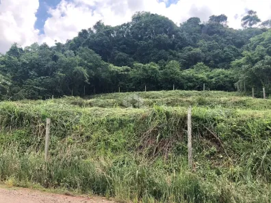 Lote/Terreno à venda, 429m² no Pinhal Alto, Nova Petrópolis