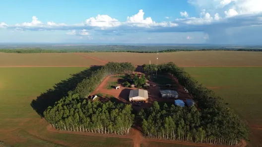 com 3 Quartos à venda, 800m² no , Canarana