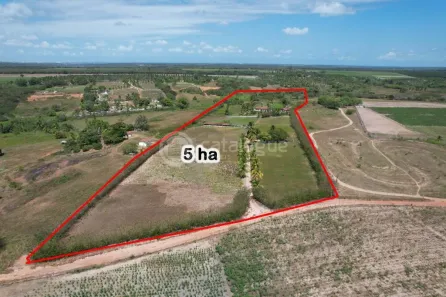 Fazenda/Sítio com 3 Quartos à venda, 360m² no Zona Rural, São José de Mipibu