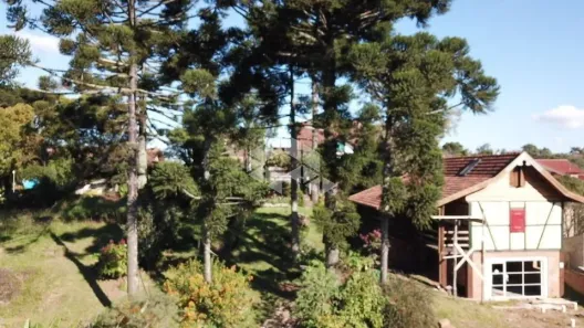 Lote/Terreno à venda, 560m² no Nova Petrópolis, Nova Petrópolis