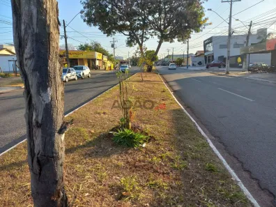 Casa com 4 Quartos à venda, 236m² no Jardim Mariliza, Goiânia