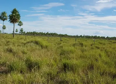 Fazenda/Sítio à venda, 5000000m² no Centro, Terenos