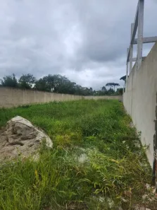 Lote/Terreno à venda, 343m² no Colônia Murici, São José dos Pinhais