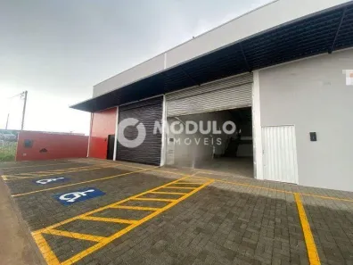 Galpão/Depósito/Armazém para alugar, 250m² no Novo Mundo, Uberlândia