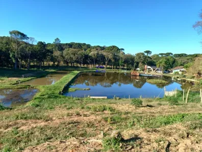 Fazenda/Sítio com 3 Quartos à venda, 24000m² no , Contenda