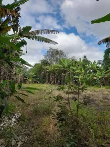 Lote/Terreno à venda, 4300m² no Santa Cruz dos Lázaros, Jacareí