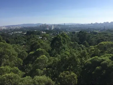 Apartamento com 3 Quartos à venda, 111m² no Vila Indiana, São Paulo