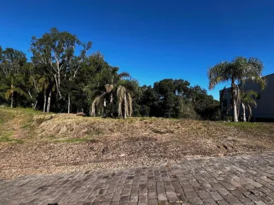 Lote/Terreno à venda, 650m² no Vinhedos, Caxias do Sul