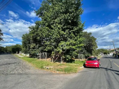 Lote/Terreno à venda, 304m² no Feitoria, São Leopoldo