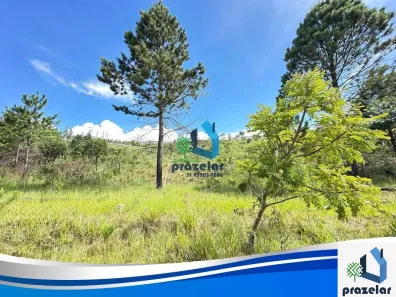 Lote/Terreno à venda, 5000m² no Dona Catarina, Mairinque
