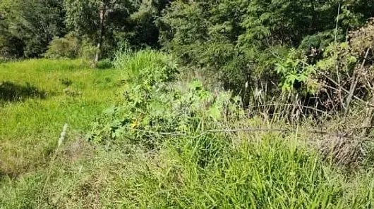 Lote/Terreno à venda, 10m² no , Cordilheira Alta