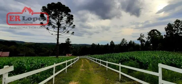 Fazenda/Sítio com 2 Quartos à venda, 24200m² no Serra do Araçatuba, Tijucas do Sul