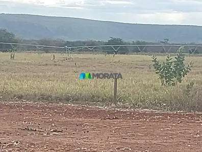 Fazenda/Sítio com 1 Quarto à venda, 3995m² no Veredas, Janaúba