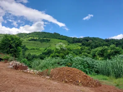 Fazenda/Sítio com 1 Quarto à venda, 100000m² no Caminho da Eulália, Bento Gonçalves